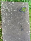 image of grave number 584120